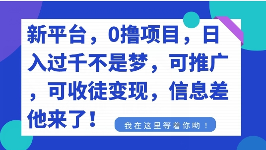 不要再花冤枉钱了，0撸项目，每天坚持，稳定1000+-中赚微课堂-木木源码网