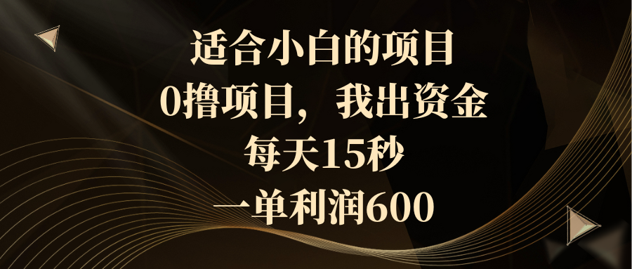 （8571期）适合小白的项目，0撸项目，我出资金，每天15秒，一单利润600-木木源码网