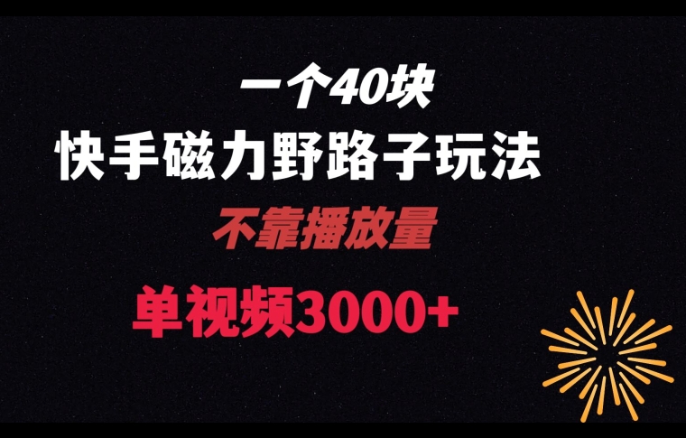 一个40块，快手联合美团磁力新玩法，无视机制野路子玩法，单视频收益4位数【揭秘】-中赚微课堂-木木源码网