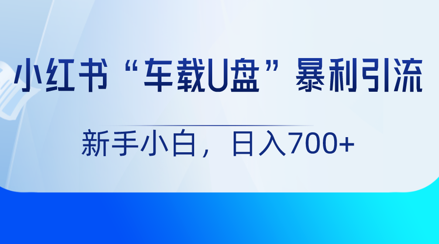 小红书“车载U盘”项目，暴利引流，新手小白轻松日入700+-木木源码网