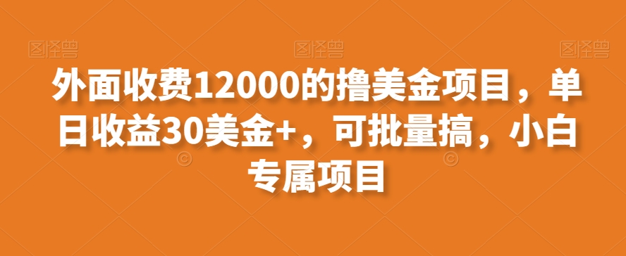 外面收费12000的撸美金项目，单日收益30美金+，可批量搞，小白专属项目-中赚微课堂-木木源码网