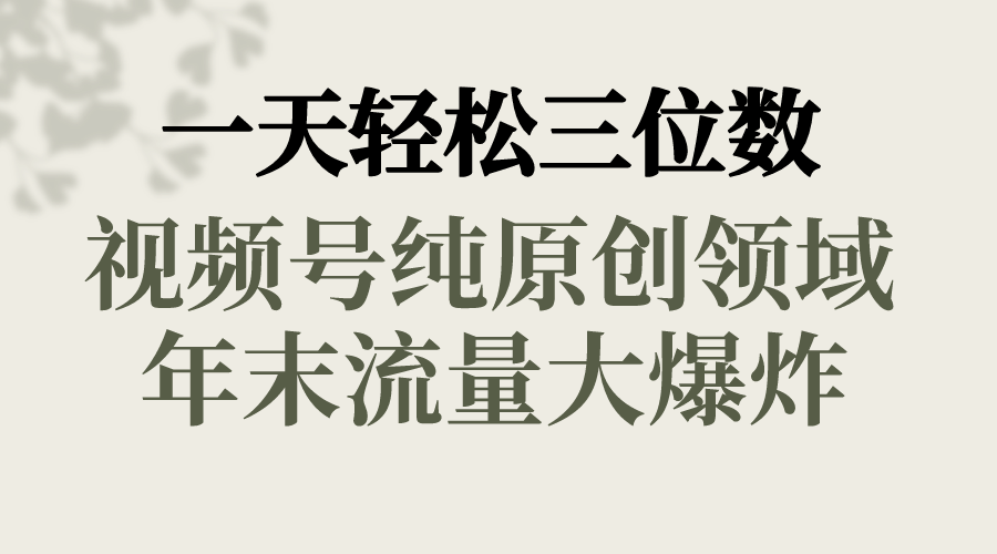 （8647期）一天轻松三位数，视频号纯原创领域，春节童子送祝福，年末流量大爆炸，-木木源码网