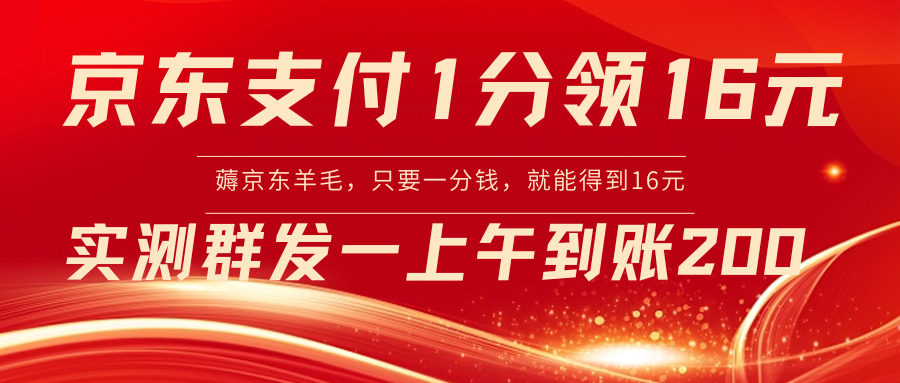 （8678期）京东支付1分得16元实操到账200-木木源码网