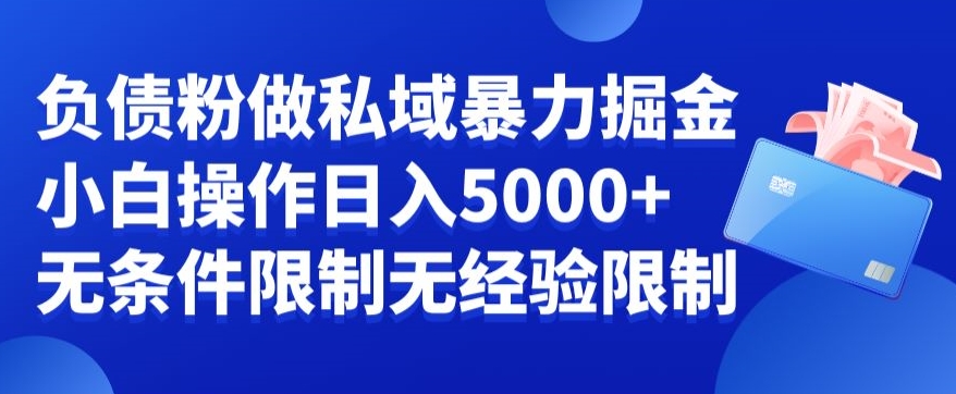 负债粉私域暴力掘金，小白操作入5000，无经验限制，无条件限制【揭秘】-中赚微课堂-木木源码网