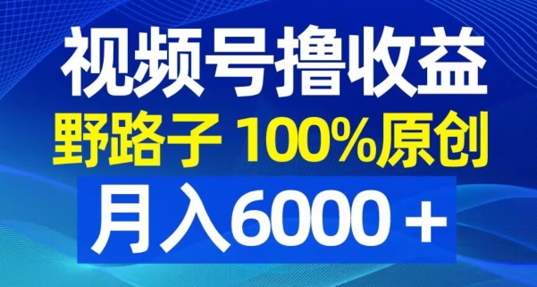 视频号野路子撸收益，100%原创，条条爆款，月入6000＋【揭秘】-中赚微课堂-木木源码网