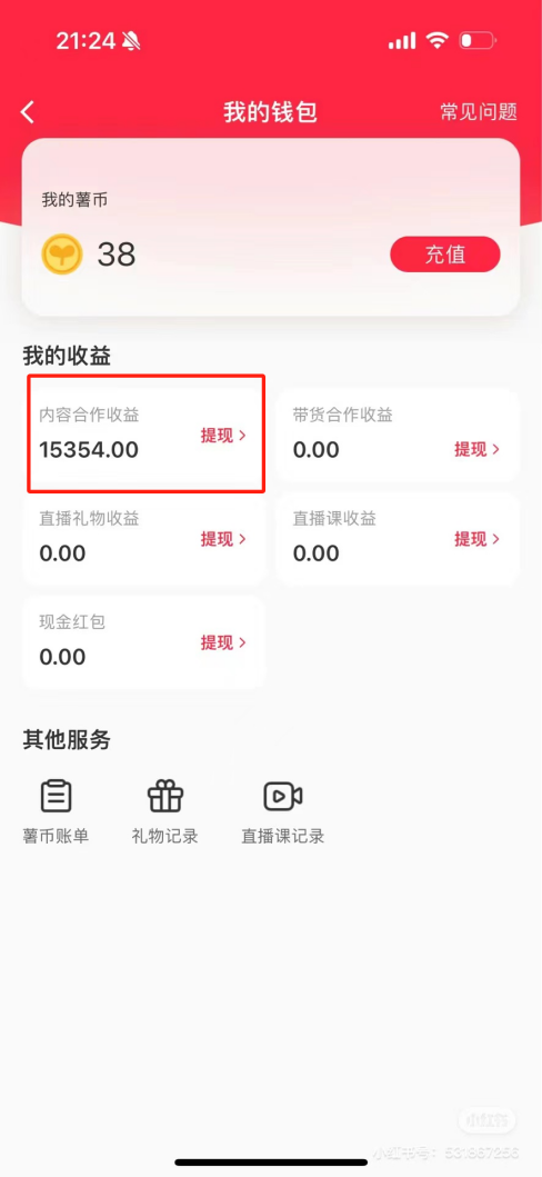 （8740期）热门评论引爆小红书流量，作品制作简单，广告接到手软，月入过万不是梦插图1