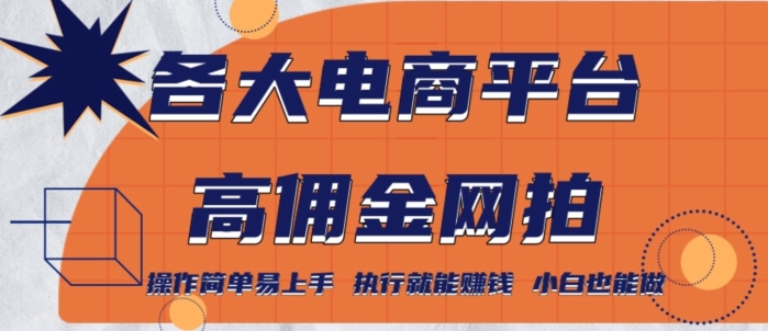 各大电商平台高佣金网拍，操作简单易上手，执行就能赚钱，小白也能做-中赚微课堂-木木源码网