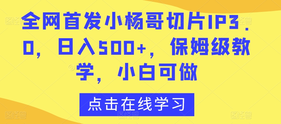 全网首发小杨哥切片IP3.0，日入500+，保姆级教学，小白可做【揭秘】-中赚微课堂-木木源码网