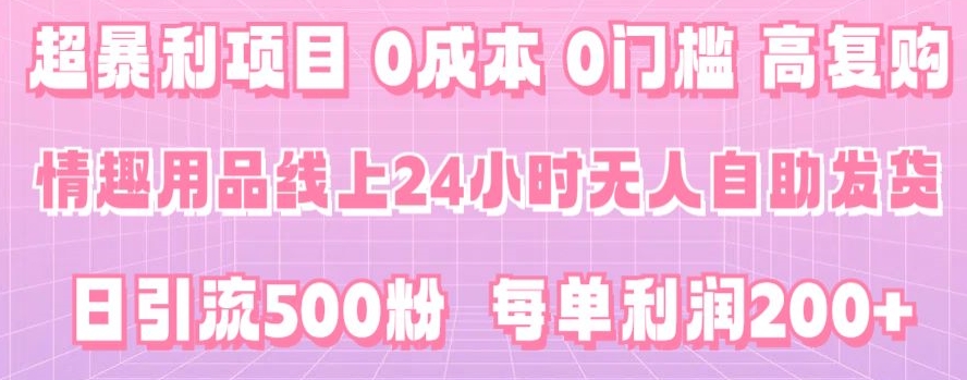 超暴利项目，情趣用品线上24小时-无人自助发货，0成本，0门槛，高复购-中赚微课堂-木木源码网
