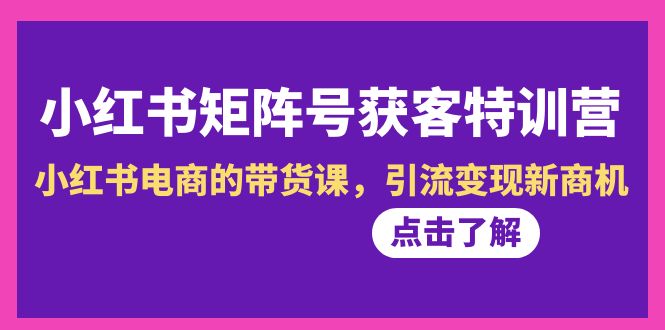 （8909期）小红书-矩阵号获客特训营-第10期，小红书电商的带货课，引流变现新商机-木木源码网