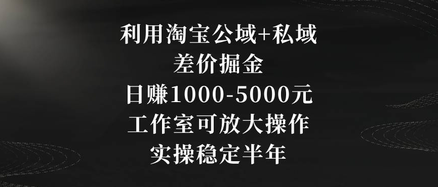 利用淘宝公域+私域差价掘金，日赚1000-5000元，工作室可放大操作，实操稳定半年【揭秘】-中赚微课堂-木木源码网