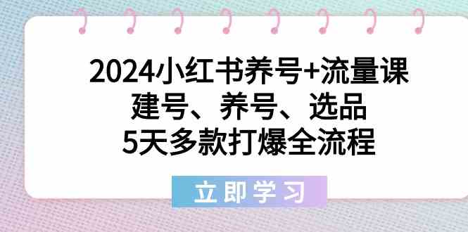 2024小红书的起号 总流量课：创号、起号、选款，5天几款打穿全过程-木木源码网