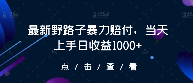 最新野路子暴力赔付，当天上手日收益1000+【仅揭秘】-中赚微课堂-木木源码网