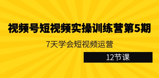 （9029期）视频号短视频实操训练营第5期：7天学会短视频运营（12节课）-木木源码网