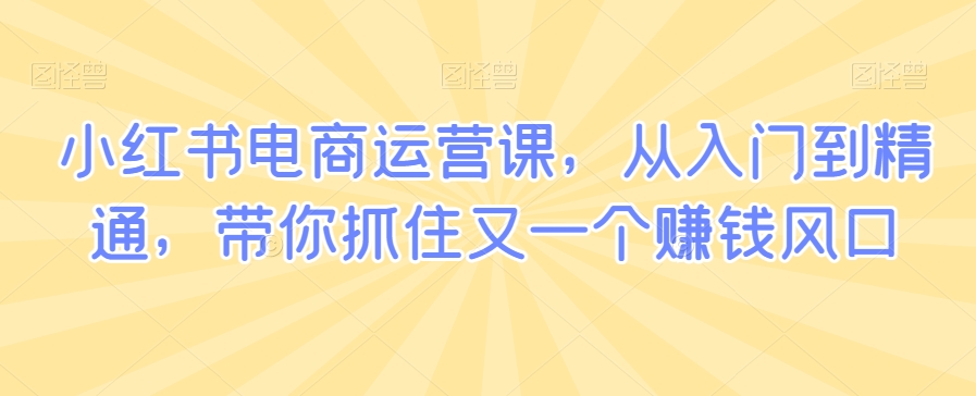 小红书电商运营课，从入门到精通，带你抓住又一个赚钱风口-中赚微课堂-木木源码网