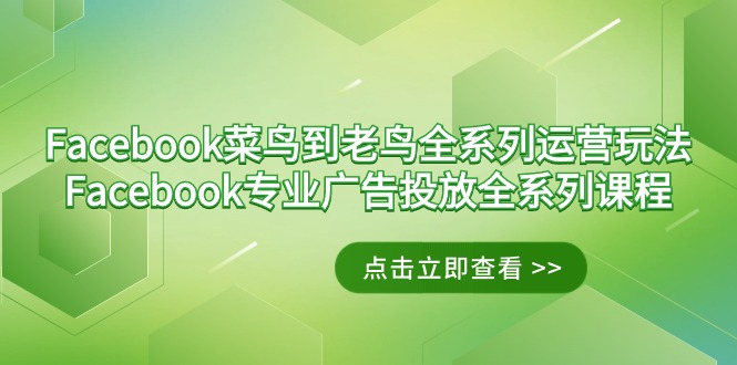 （9065期）Facebook-菜鸟到老鸟全系列运营玩法+Facebook-专业广告投放全系列课程-木木源码网