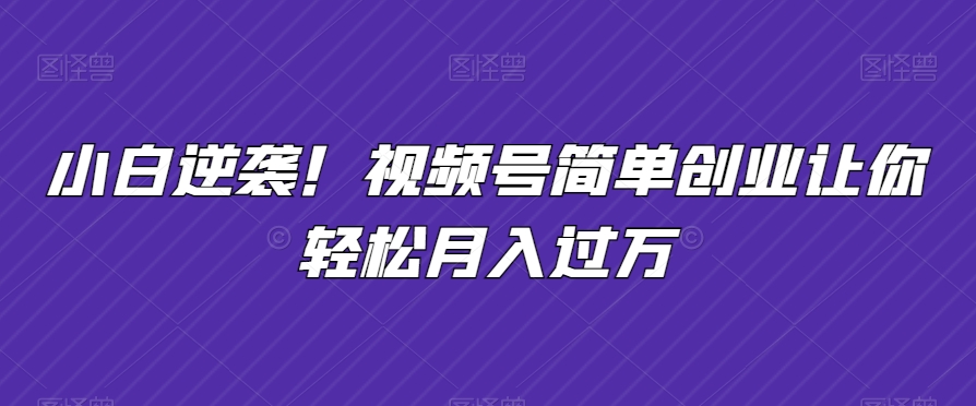 小白逆袭！视频号简单创业让你轻松月入过万-中赚微课堂-木木源码网