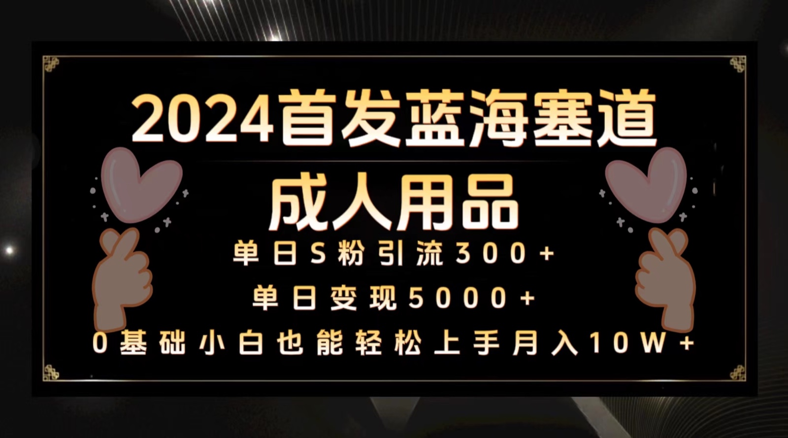 2024先发瀚海塞道两性用品，月入10W 家庭保姆实例教程-木木源码网