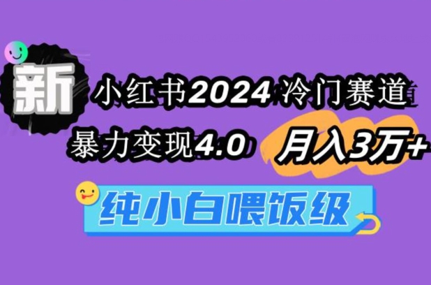 小红书2024冷门赛道一个月3万+暴力变现4.0纯小白喂饭级-中赚微课堂-木木源码网