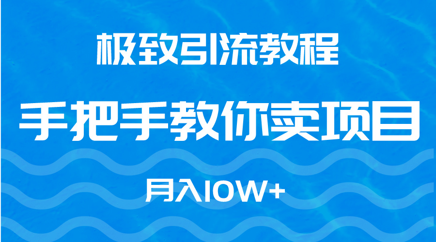 （9265期）极致引流教程，手把手教你卖项目，月入10W+-木木源码网