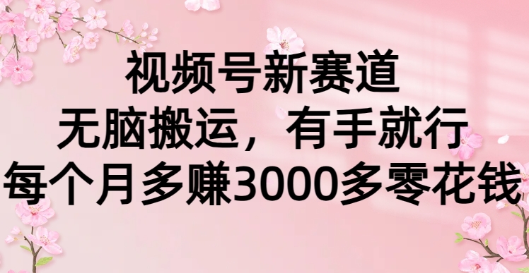 （9278期）视频号新赛道，无脑搬运，有手就行，每个月多赚3000多零花钱-木木源码网