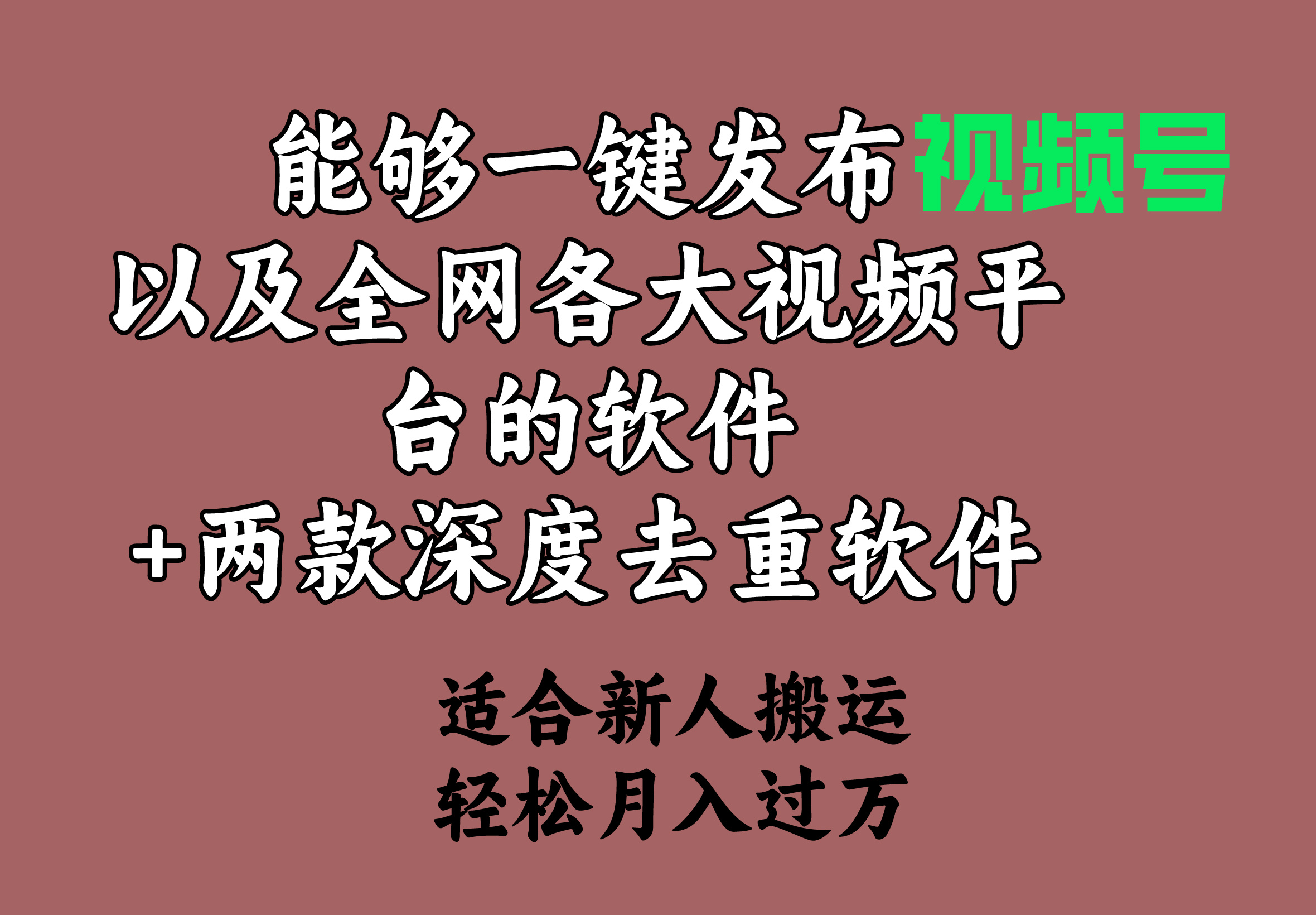 （9319期）能够一键发布视频号以及全网各大视频平台的软件+两款深度去重软件 适合…-木木源码网