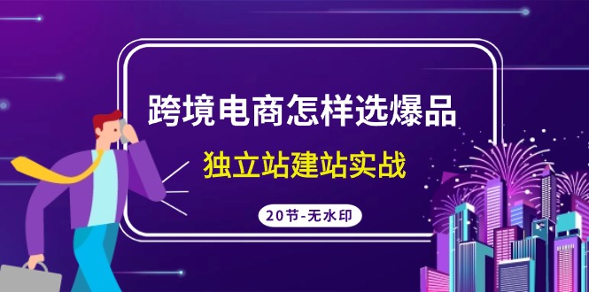 跨境电商怎样选爆品，独立站建站实战（20节高清课）-木木源码网