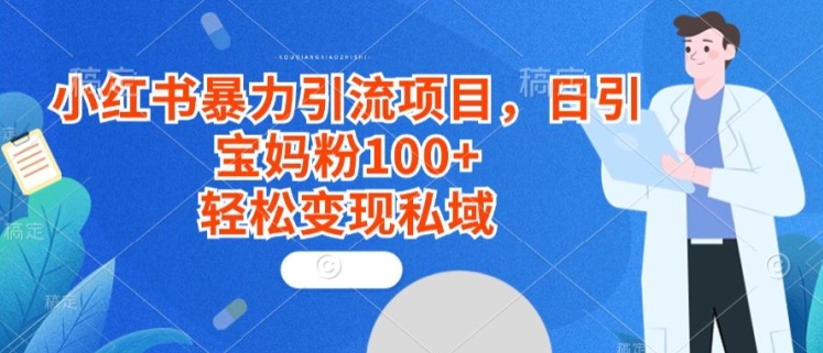 小红书暴力引流项目，日引宝妈粉100+，轻松变现私域-中赚微课堂-木木源码网