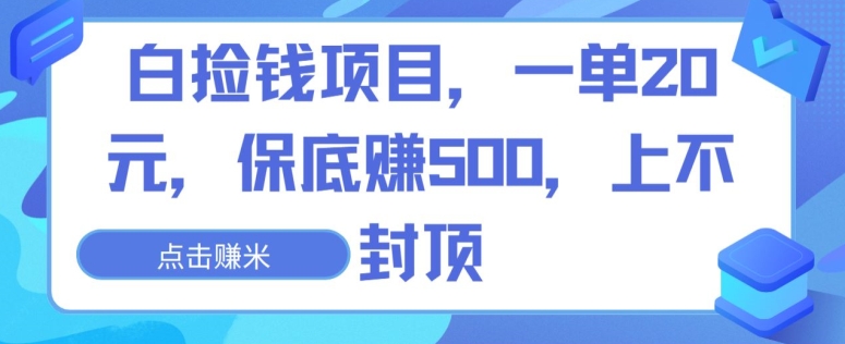 白捡钱项目，一单20元，保底赚500，上不封顶-中赚微课堂-木木源码网