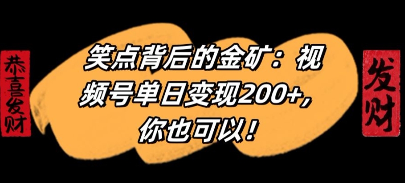 笑点背后的金矿：视频号单日变现200+，你也可以-中赚微课堂-木木源码网