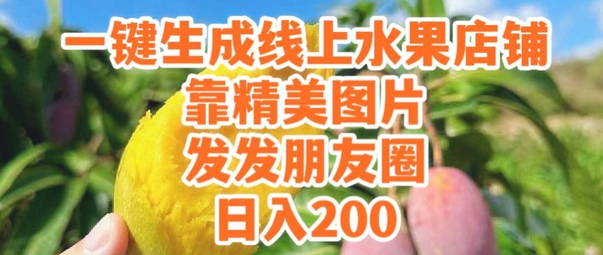 一键生成线上水果店，靠精美图片发发朋友圈，也能日入200-中赚微课堂-木木源码网