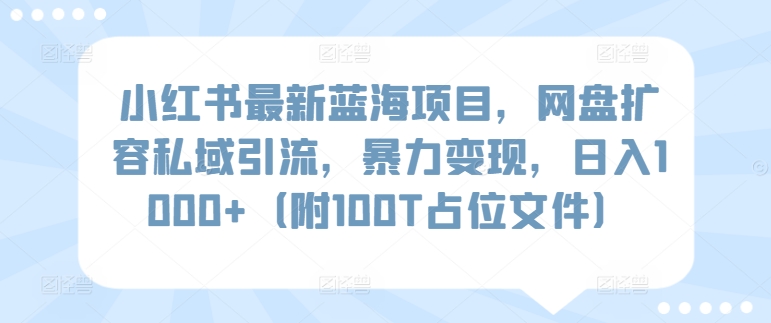 小红书最新蓝海项目，网盘扩容私域引流，暴力变现，日入1000+（附100T占位文件）【揭秘】-中赚微课堂-木木源码网