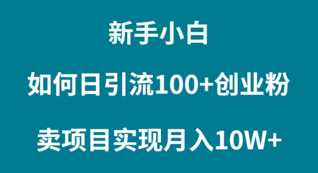 （9556期）新手小白如何通过卖项目实现月入10W+-木木源码网