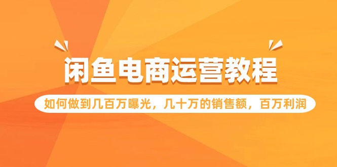 （9560期）闲鱼电商运营教程：如何做到几百万曝光，几十万的销售额，百万利润-木木源码网