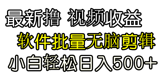 （9569期）发视频撸收益，软件无脑批量剪辑，第一天发第二天就有钱-木木源码网