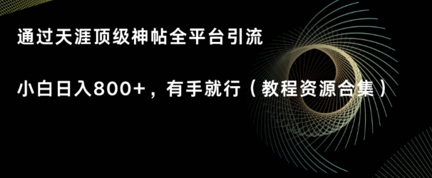 天涯顶级神帖项目，全平台引流小白日入800+，有手就行(内含教程资源合集)-中赚微课堂-木木源码网