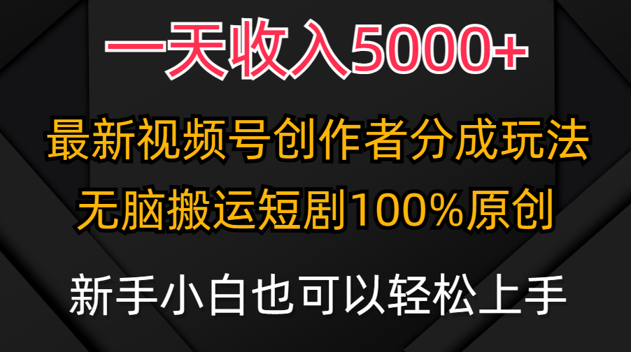 （9599期）一天收入5000+，视频号创作者分成计划，最新100%原创玩法，小白也可以轻…-木木源码网