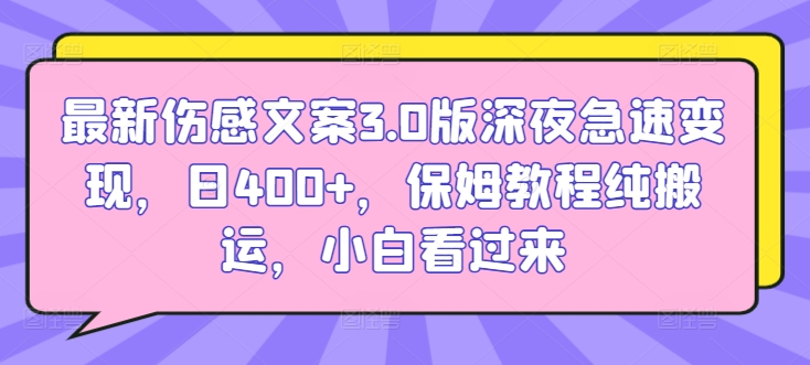 最新伤感文案3.0版深夜急速变现，日400+，保姆教程纯搬运，小白看过来-中赚微课堂-木木源码网