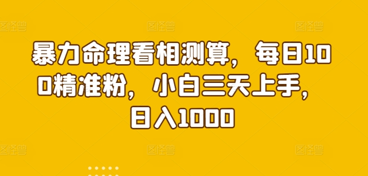 暴力命理看相测算，每日100精准粉，小白三天上手，日入1000-中赚微课堂-木木源码网