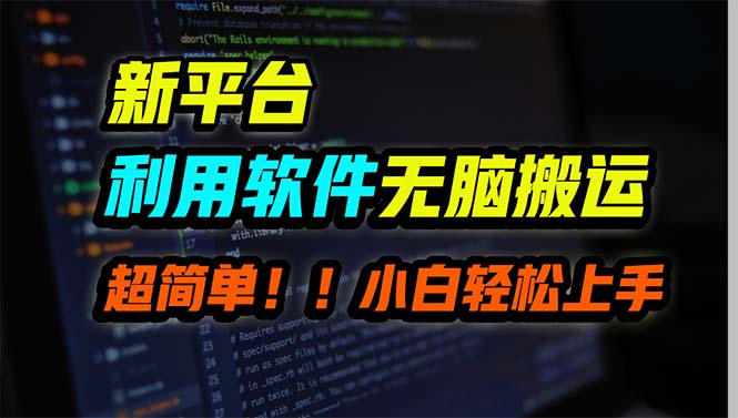 （9745期）新平台用软件无脑搬运，月赚10000+，小白也能轻松上手-木木源码网