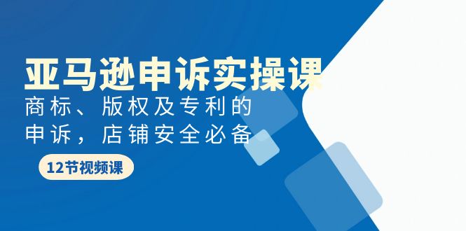 （9754期）亚马逊-申诉实战课，商标、版权及专利的申诉，店铺安全必备-木木源码网