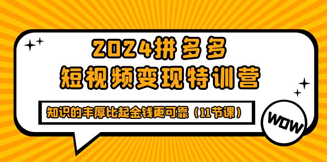 （9817期）2024拼多多短视频变现特训营，知识的丰厚比起金钱更可靠（11节课）-木木源码网