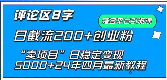 抖音评论区8字日截流200+创业粉 “卖项目”日稳定变现5000+【揭秘】-中赚微课堂-木木源码网