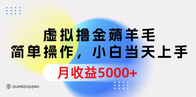 （9864期）虚拟撸金薅羊毛，简单操作，小白当天上手，月收益5000+-木木源码网