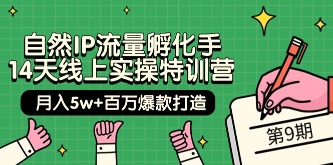 （9881期）自然IP流量孵化手 14天线上实操特训营【第9期】月入5w+百万爆款打造 (74节)-木木源码网