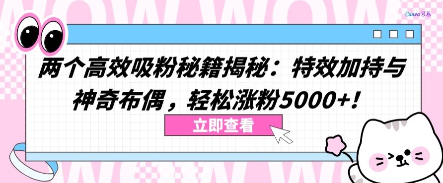 两个高效吸粉秘籍揭秘：特效加持与神奇布偶，轻松涨粉5000+【揭秘】-中赚微课堂-木木源码网