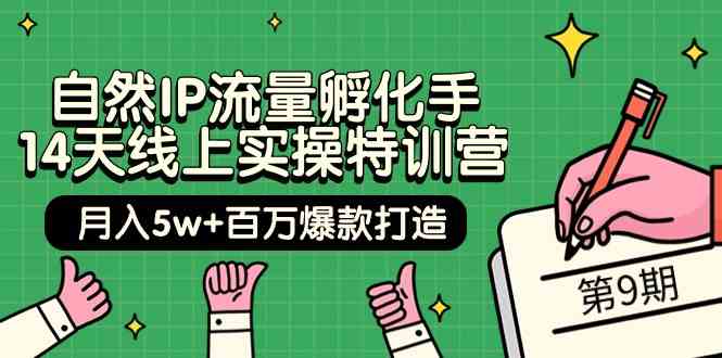 当然IP总流量卵化手14无线天线上实际操作夏令营【第9期】月入5w 上百万爆款打造 (74节)-木木源码网