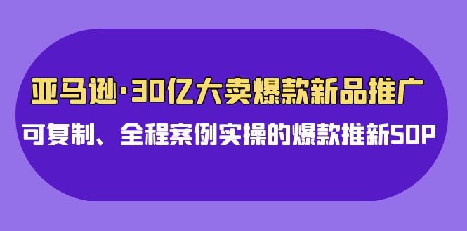 （9944期）亚马逊30亿·大卖爆款新品推广，可复制、全程案例实操的爆款推新SOP-木木源码网