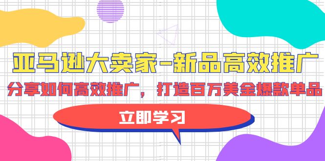 （9945期）亚马逊 大卖家-新品高效推广，分享如何高效推广，打造百万美金爆款单品-木木源码网