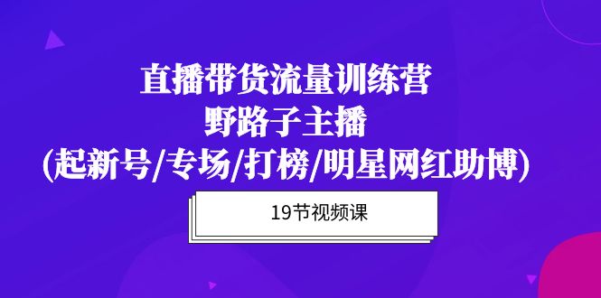 （10016期）直播带货流量特训营，野路子主播(起新号/专场/打榜/明星网红助博)19节课-木木源码网